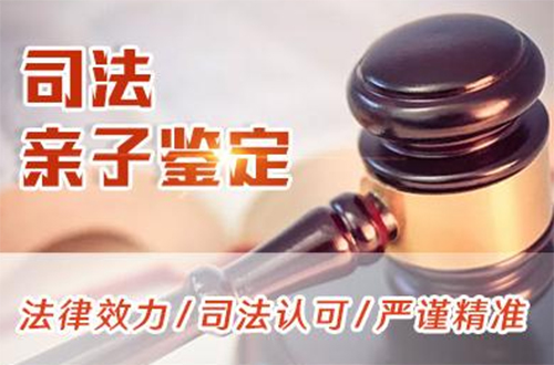 盐城司法DNA鉴定要如何办理,盐城司法DNA鉴定是多少钱啊