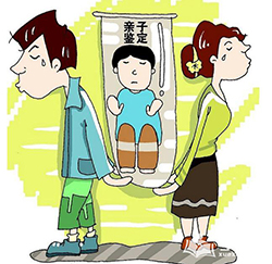 盐城隐私亲子鉴定办理流程
